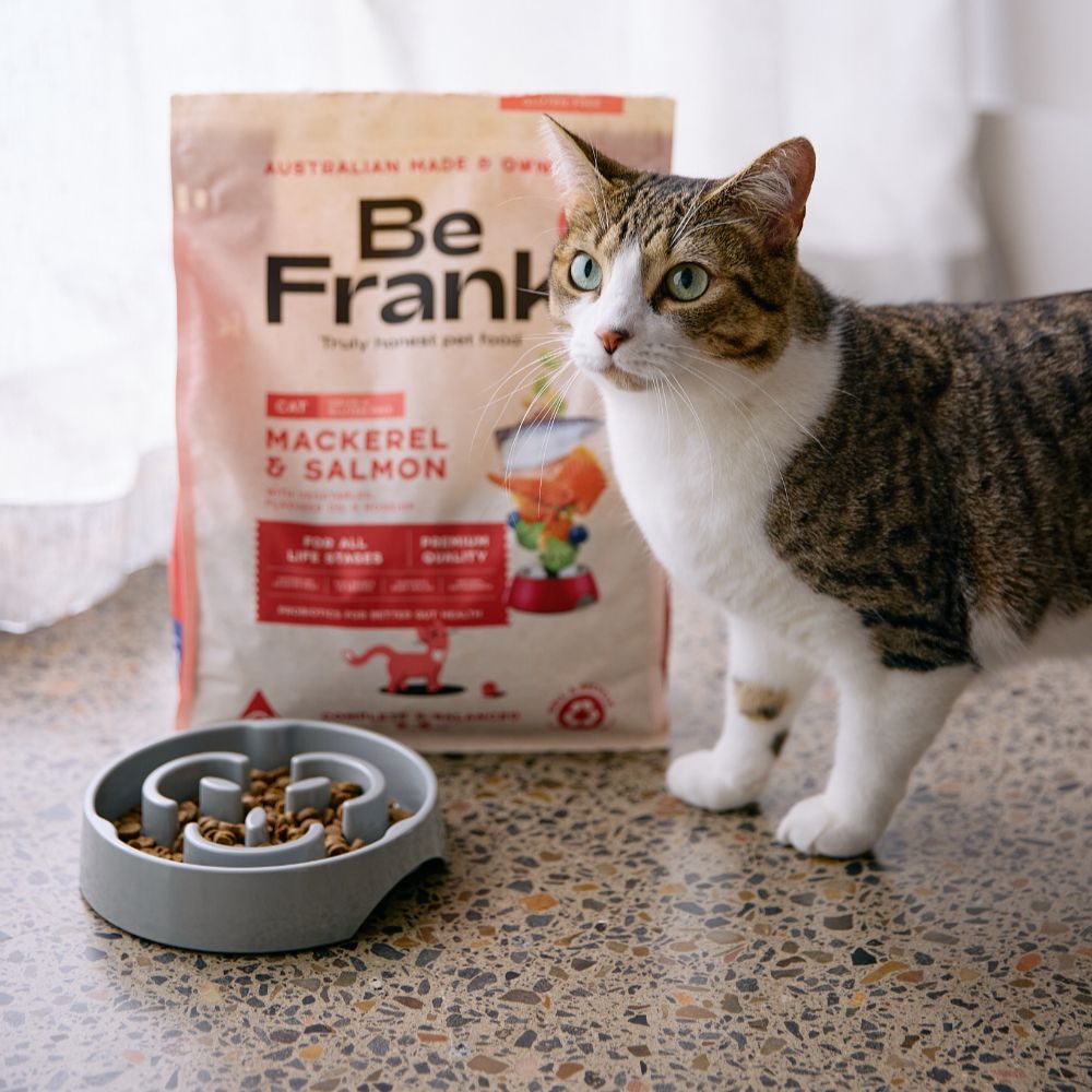 Be Frank Grain Free Mackerel & Salmon Dry Cat Food