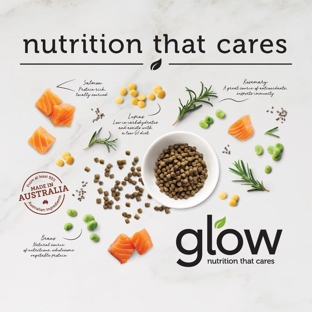 Glow Adult Australian Salmon Dry Dog Food