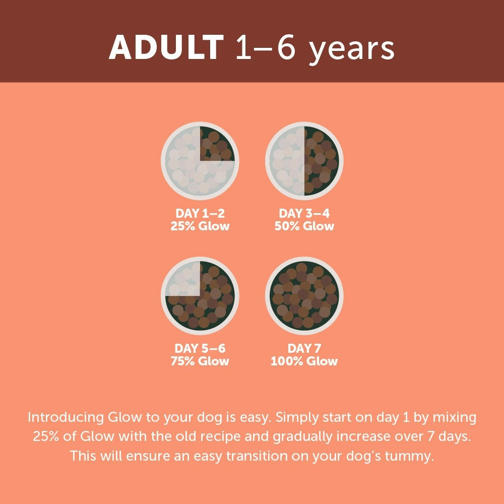 Glow Adult Australian Salmon Dry Dog Food