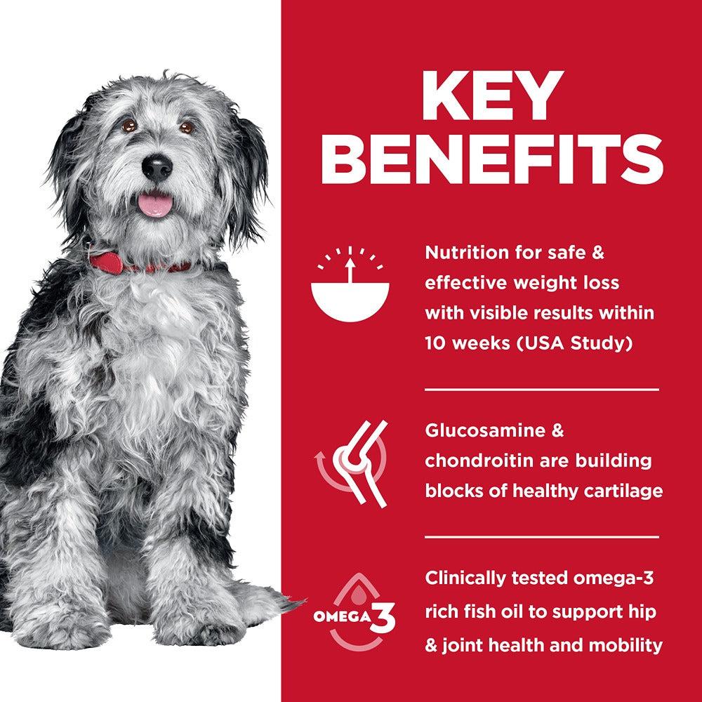 Hill’s Science Diet Perfect Weight + Joint Support Adult Dry Dog Food