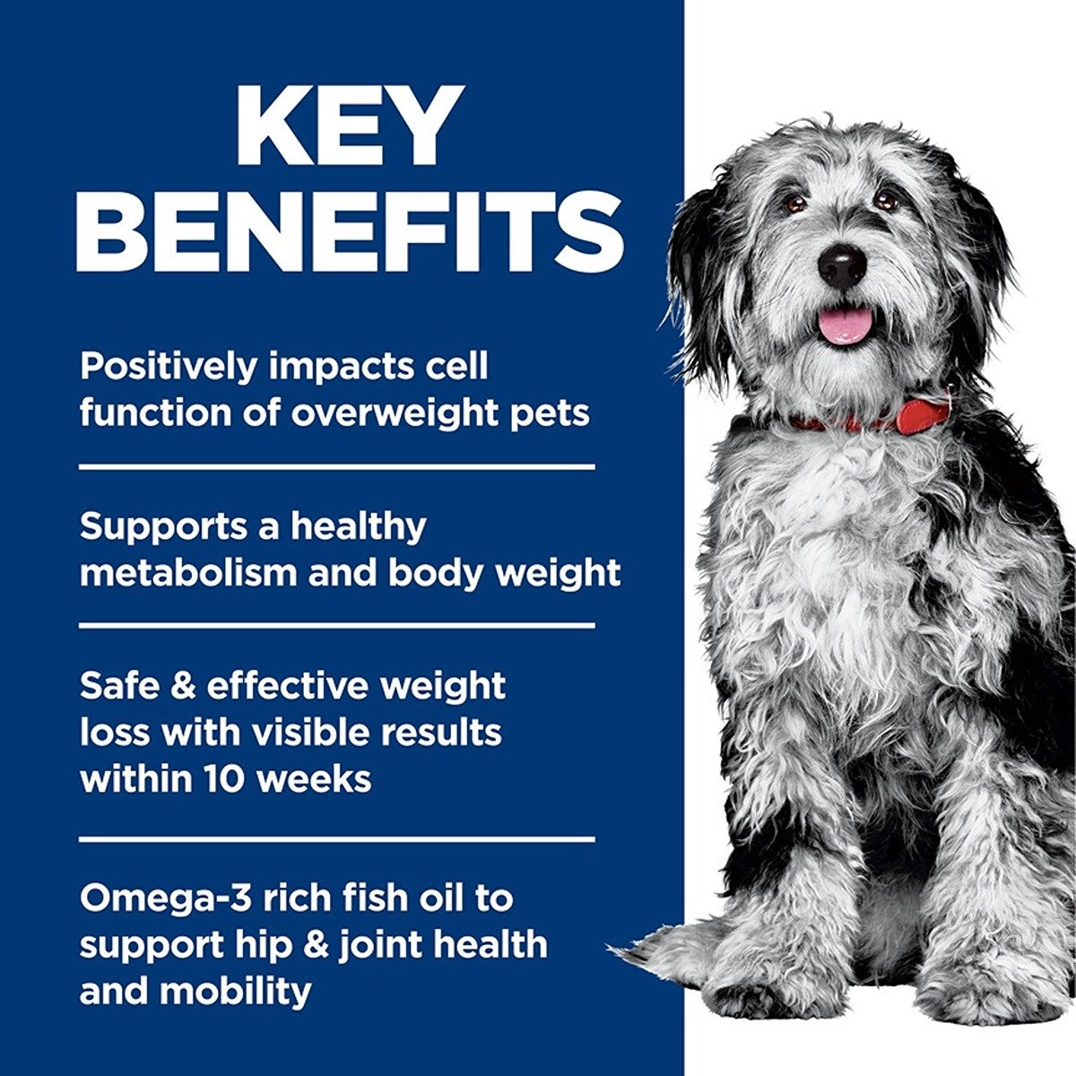 Hill’s Science Diet Perfect Weight + Joint Support Adult Dry Dog Food