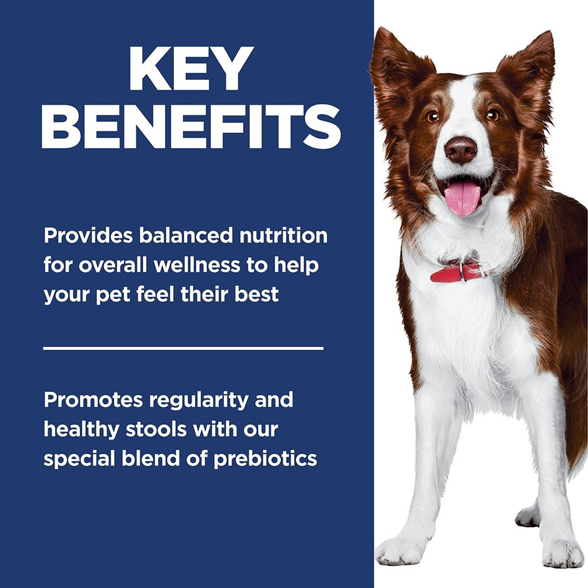 Hill's Science Diet Perfect Digestion Adult Chicken Wet Dog Food