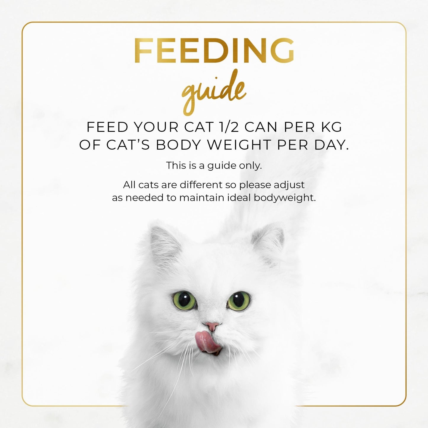 Fancy Feast Classic Senior Chicken Wet Cat Food