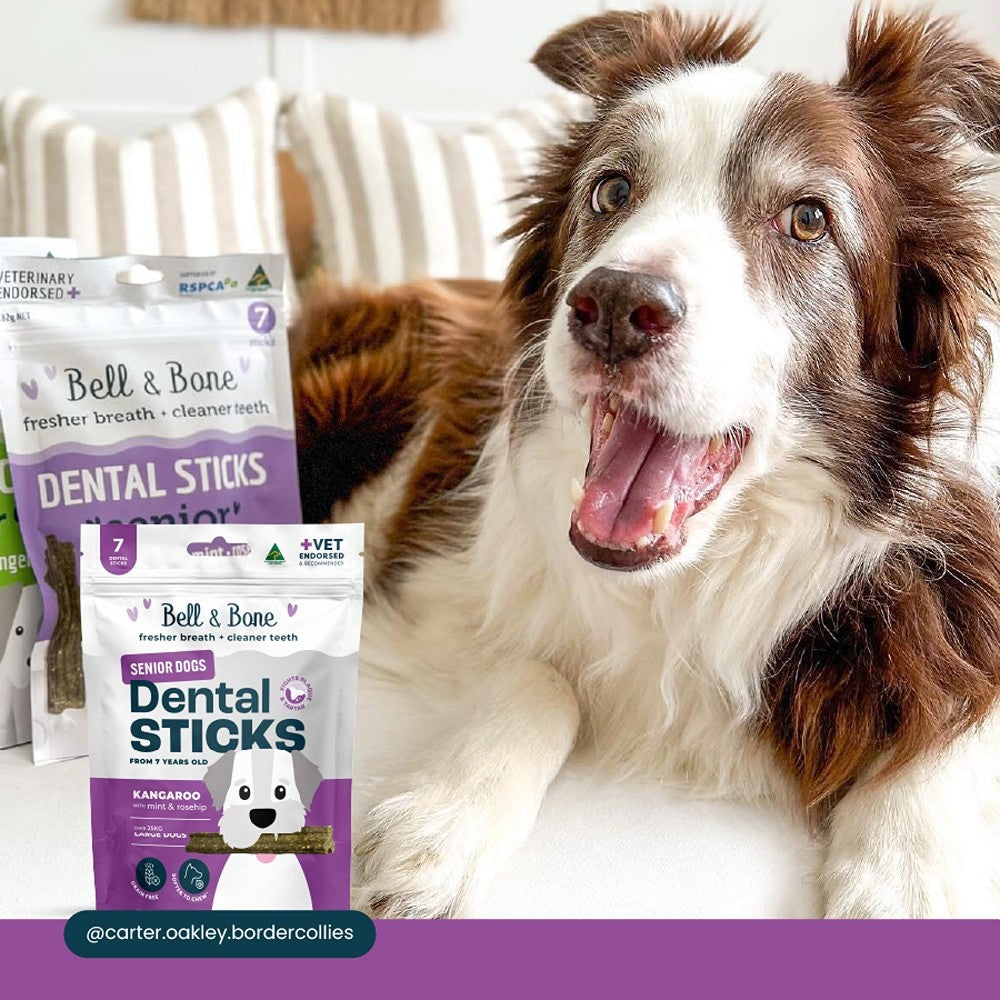 Bell & Bone Large Breed Senior Kangaroo Dental Sticks Dog Treats