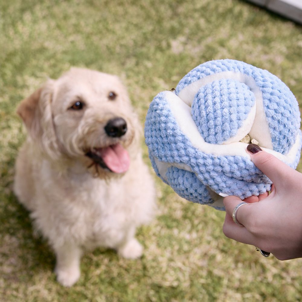 Buddy & Belle Snuffle Ball Sea Blue Dog Toy