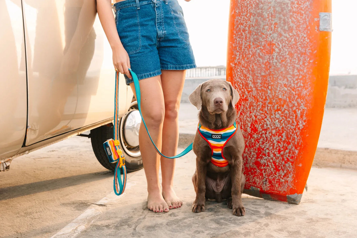 DOOG Neoprene Scout Clip It Dog Lead