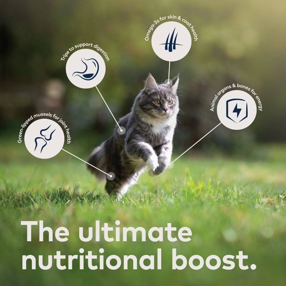 Ziwi Peak Steam & Dried Cage-free Chicken with Whole Mackerel Dry Cat Food