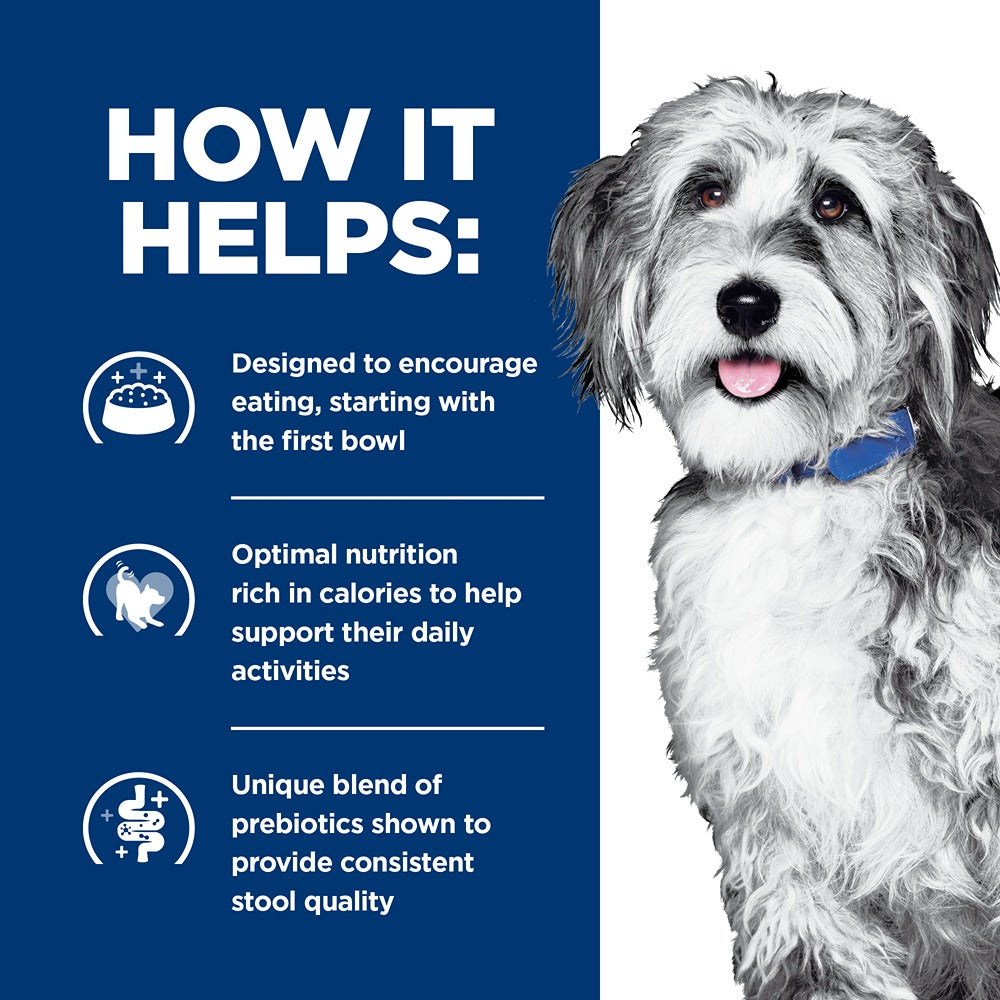 Hill's Prescription Diet ONC Care Dry Dog Food
