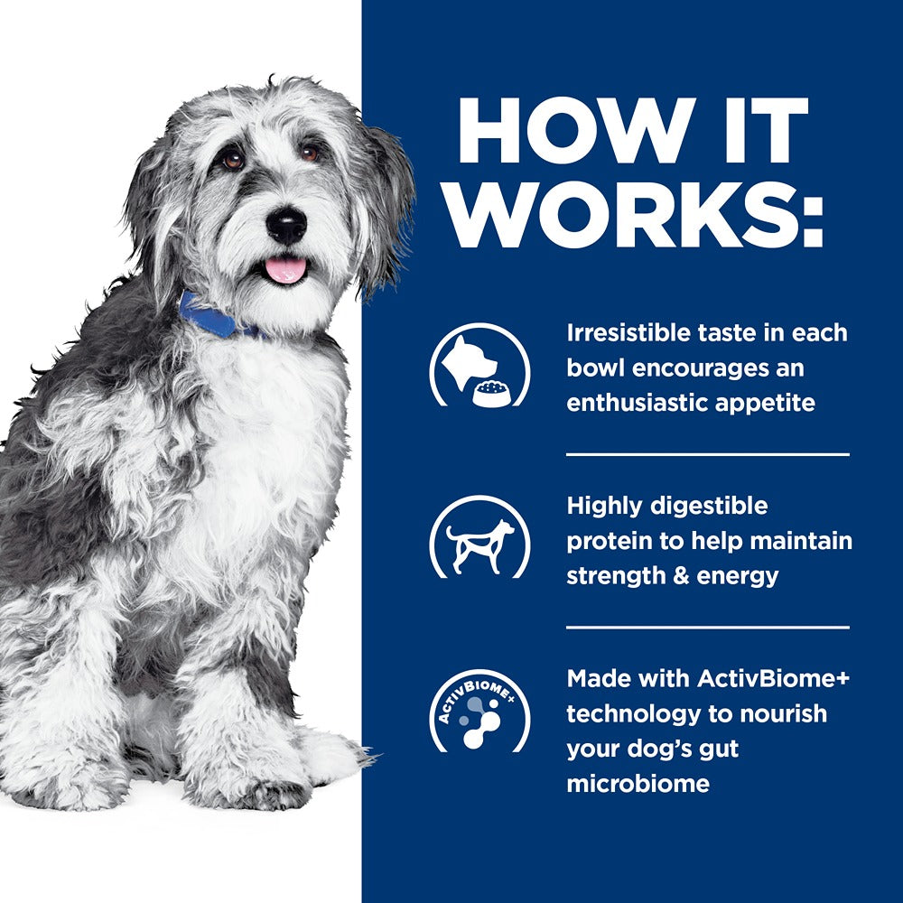 Hill's Prescription Diet ONC Care Dry Dog Food