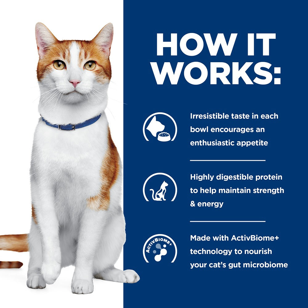 Hill's Prescription Diet ONC Care Dry Cat Food