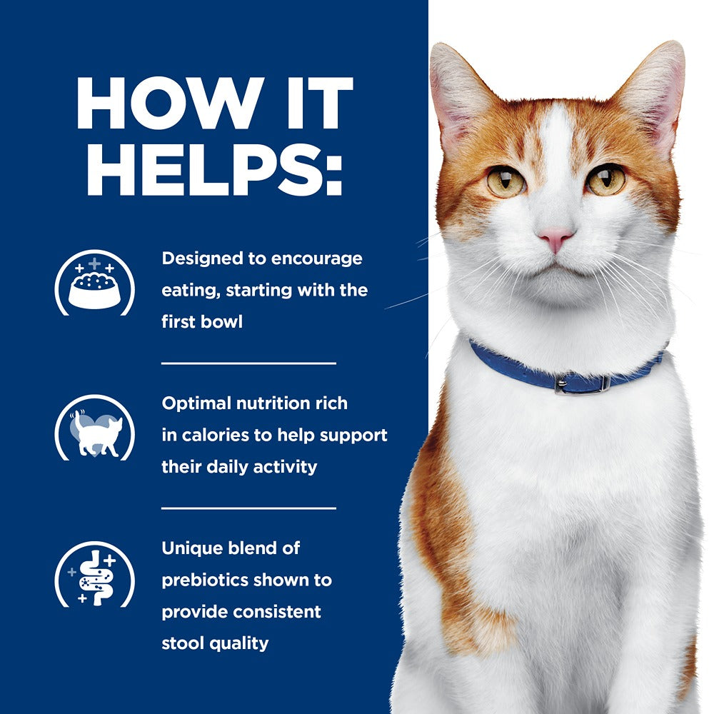 Hill's Prescription Diet ONC Care Chicken & Vegetable Wet Cat Food
