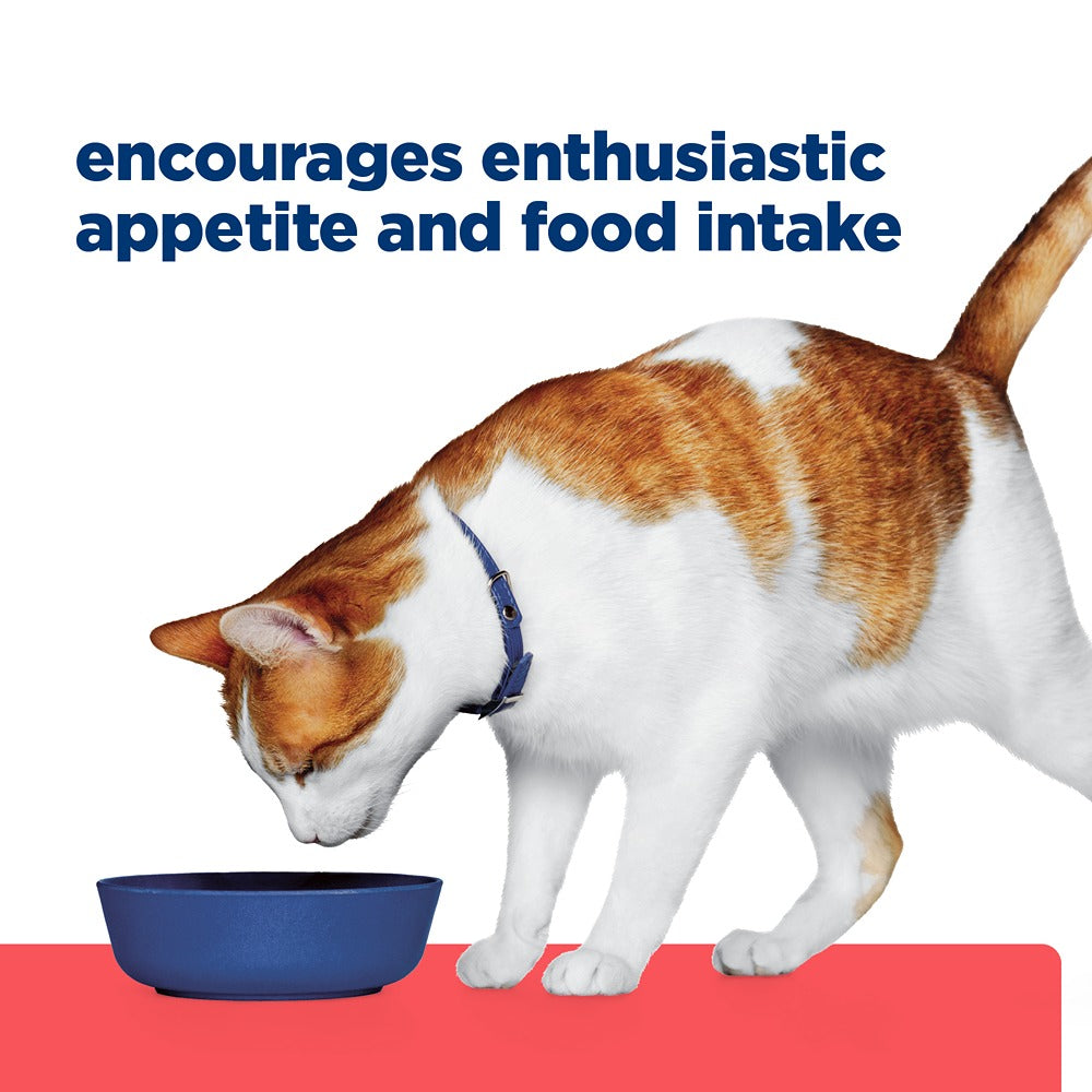 Hill's Prescription Diet ONC Care Chicken & Vegetable Wet Cat Food
