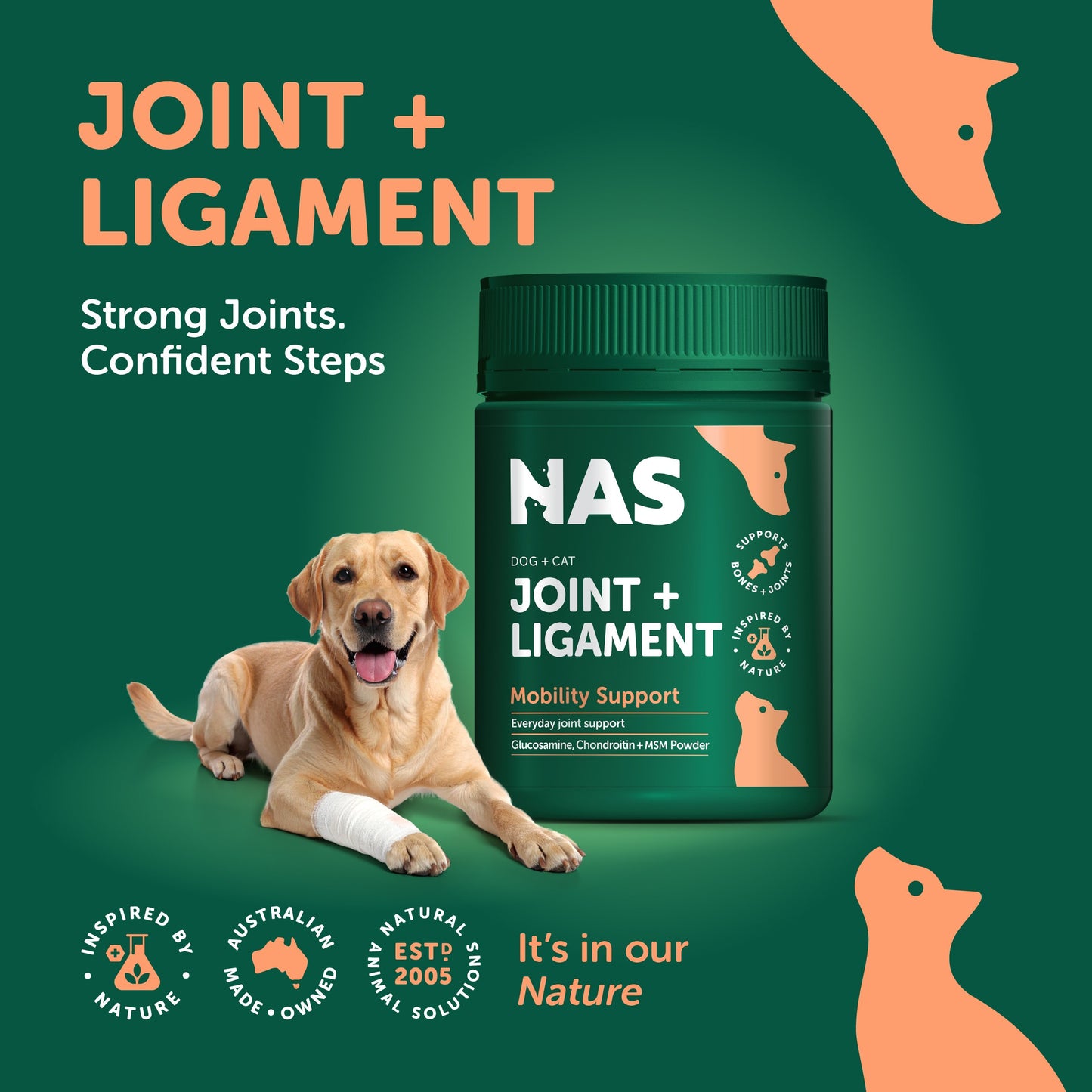 NAS Dog & Cat Joint & Ligament Support