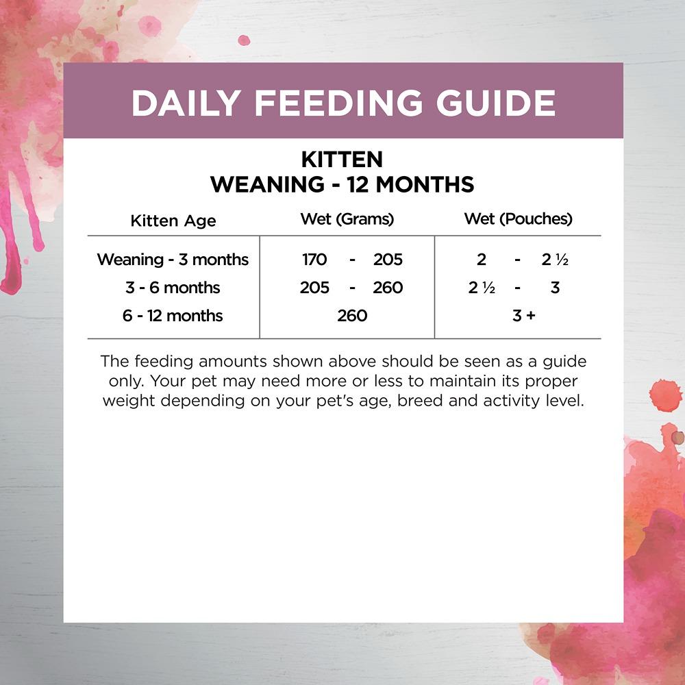 Ivory Coat Inspired by Raw Immunity Wet Kitten Food 85g