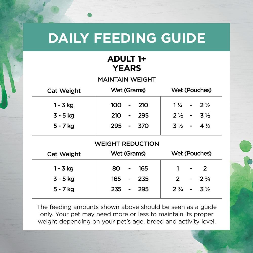 Ivory Coat Inspired by Raw Indoor & Hairball Wet Cat Food 85g