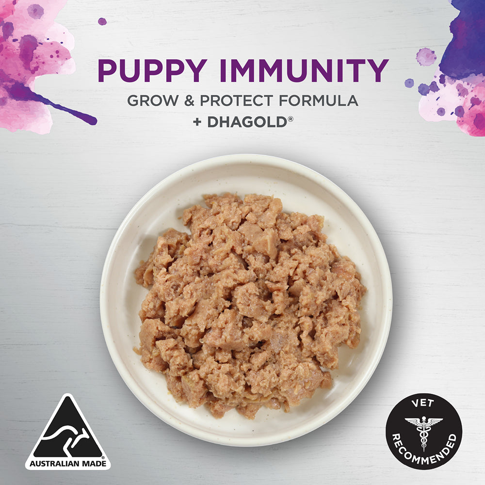 Ivory Coat Inspired by Raw Immunity Wet Puppy Food 100g