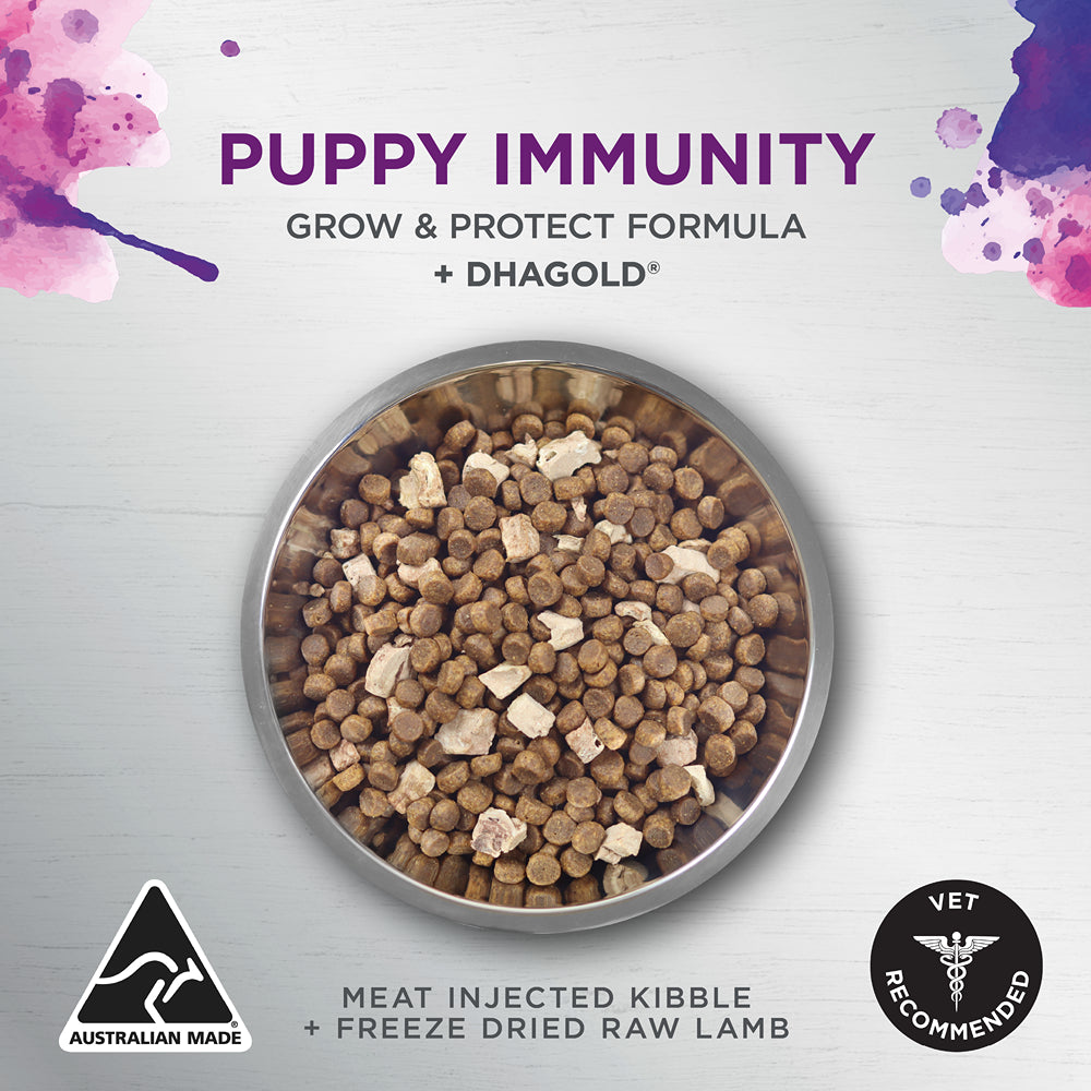Ivory Coat Raw Health Health & Vitality Dry Dog Food