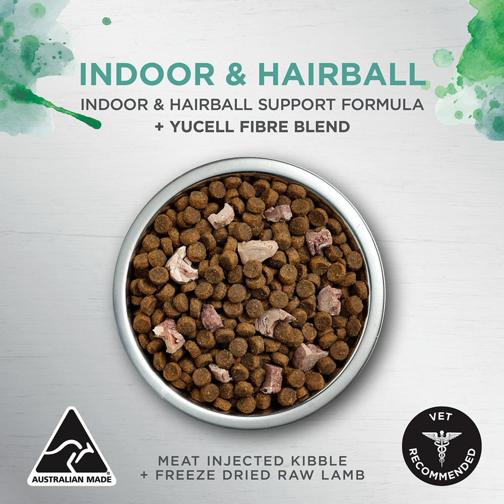 Ivory Coat Raw Health Indoor & Hairball Dry Cat Food