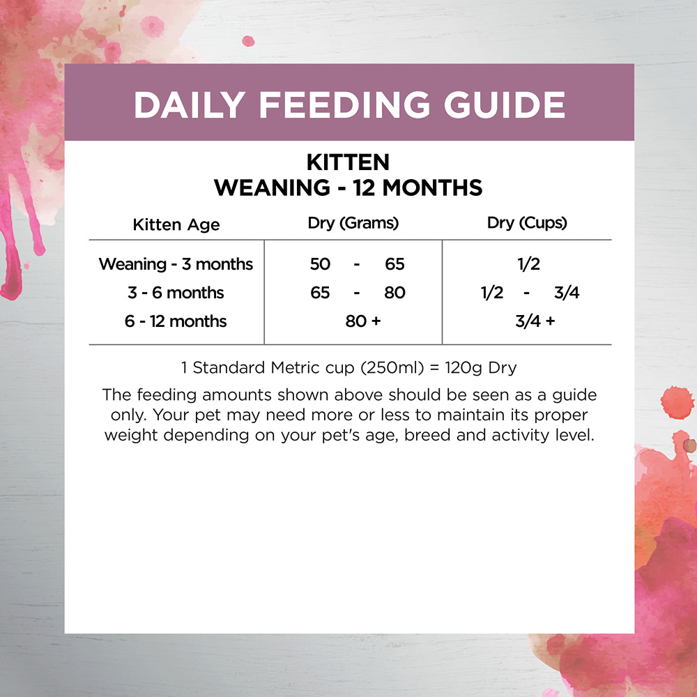 Ivory Coat Raw Health Immunity Dry Kitten Food
