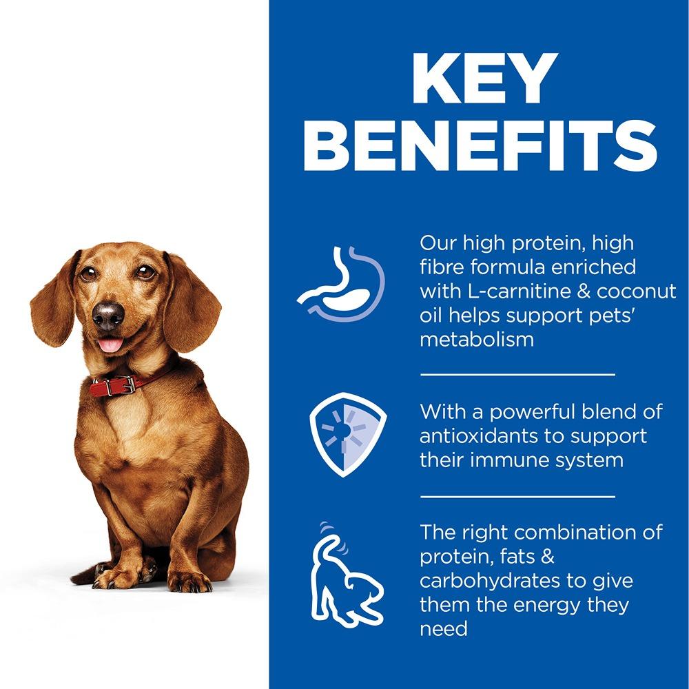 Hill's Science Diet Perfect Weight Small & Mini Turkey Canned Wet Dog Food