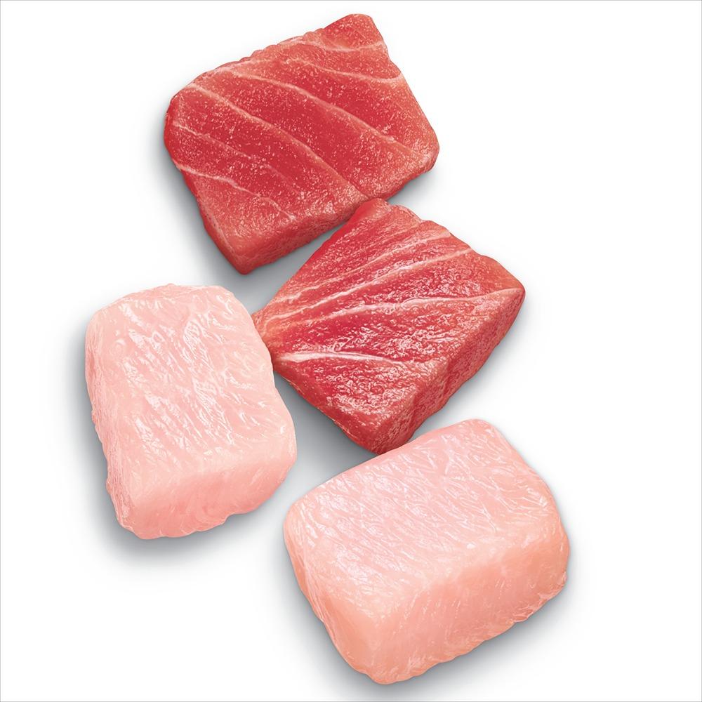 Advance Multi-Cat Chicken & Ocean Fish Dry Cat Food