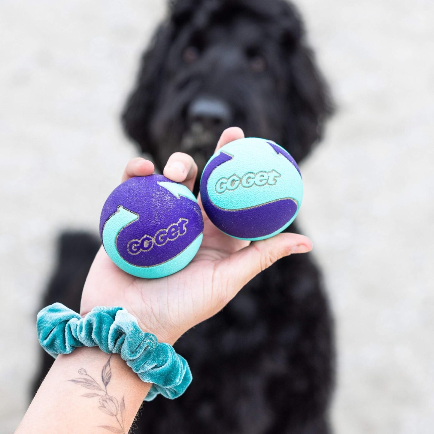 Go Get Extra Bounce Ball Dog Toy Medium