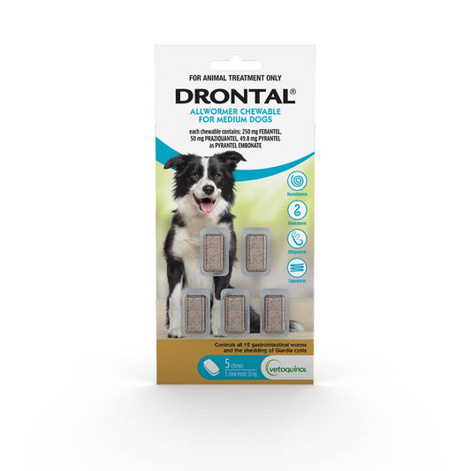 Drontal Chewable Intestinal Wormer Medium Dog