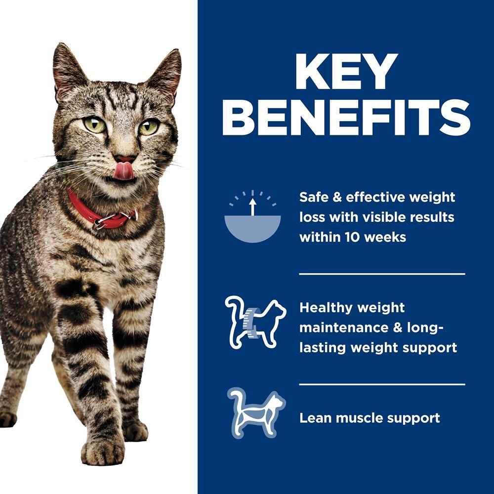 Hill's Science Diet Perfect Weight Vegetable & Salmon Medley Canned Wet Cat Food