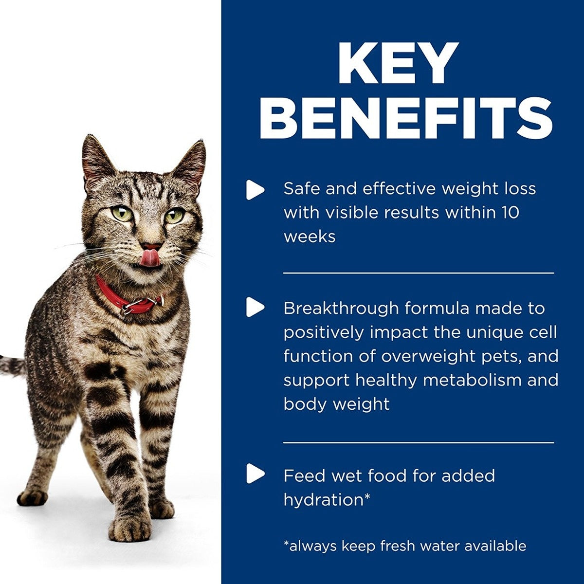 Hill's Science Diet Perfect Weight Vegetable & Salmon Medley Canned Wet Cat Food