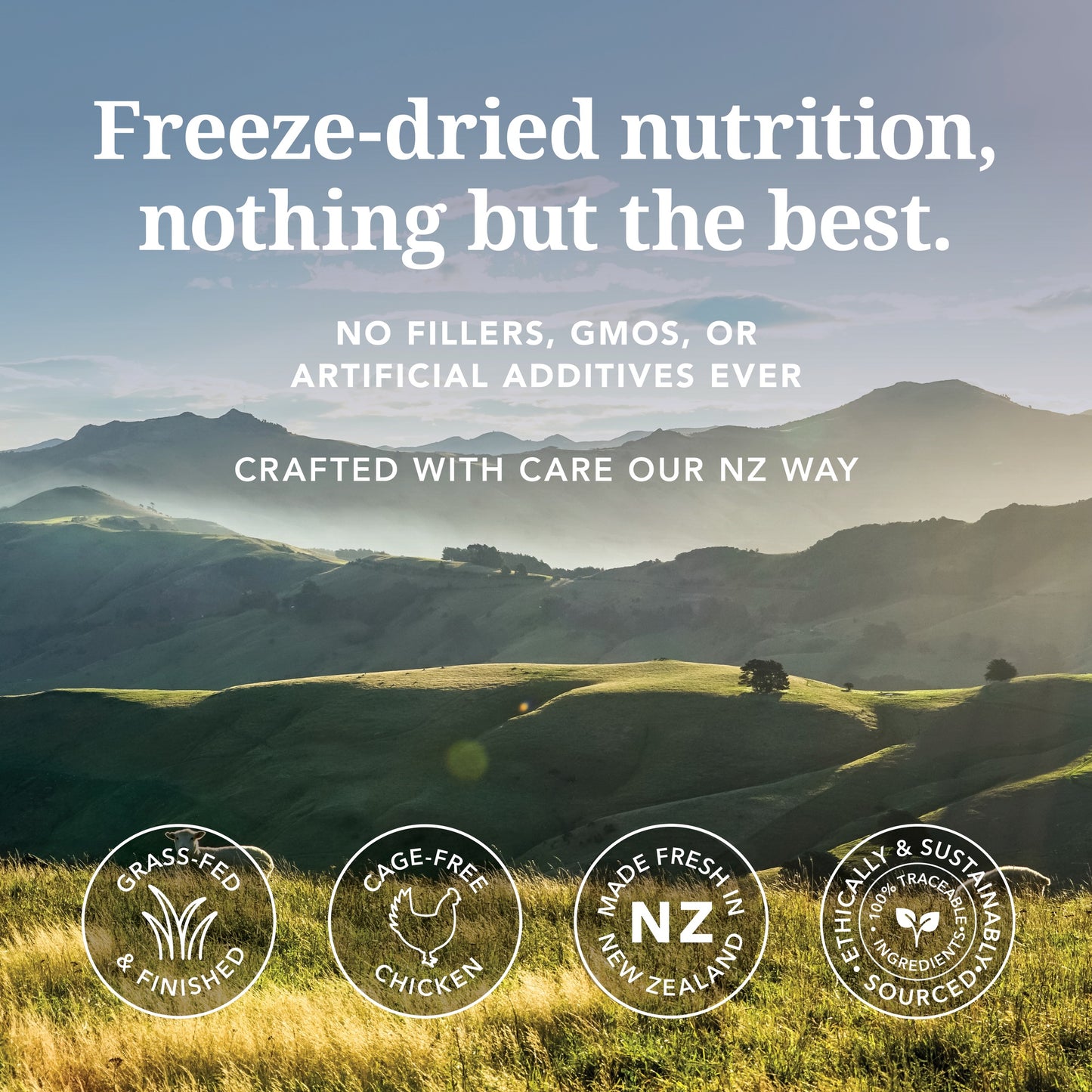 Feline Natural Freeze Dried Chicken Dry Cat Food