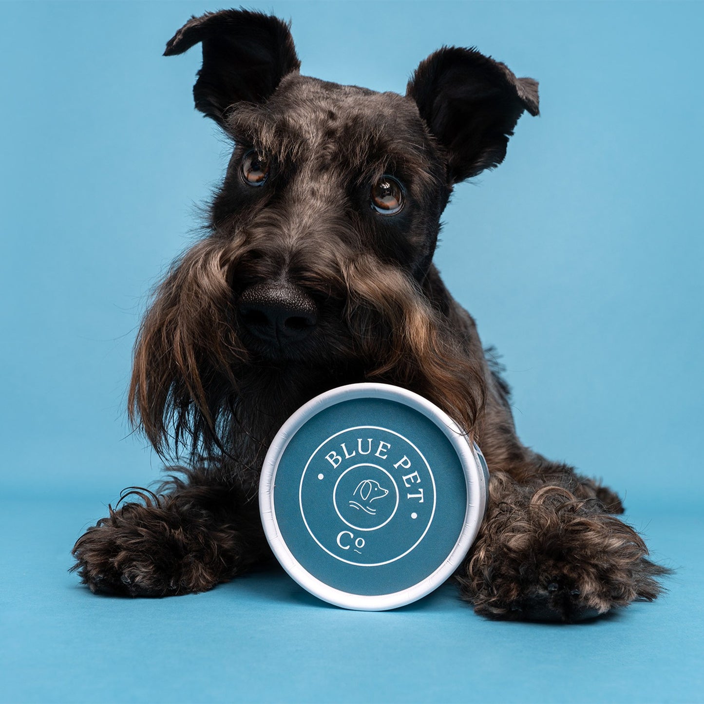 Blue Pet Co GoActive Joint & Muscle Peanut Butter Supplement for Dogs
