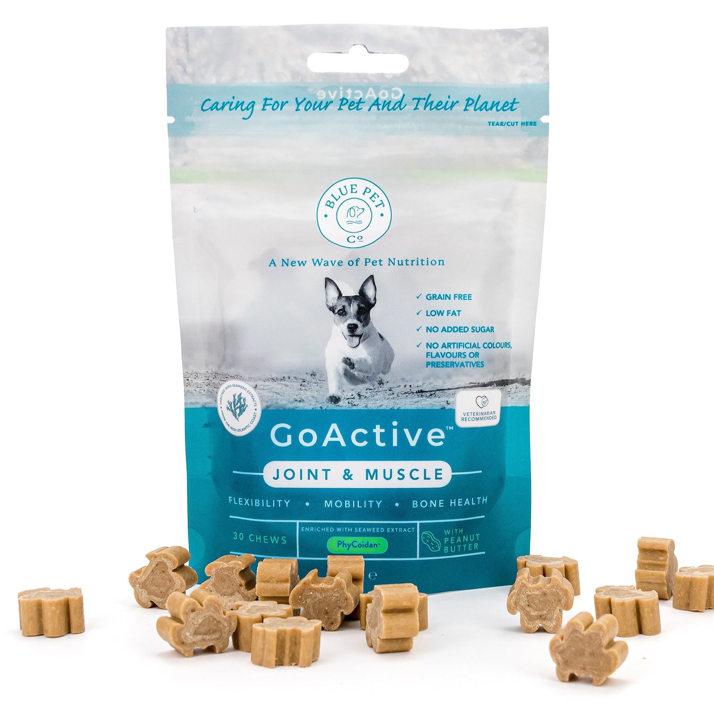 Blue Pet Co GoActive Joint & Muscle Peanut Butter Supplement for Dogs