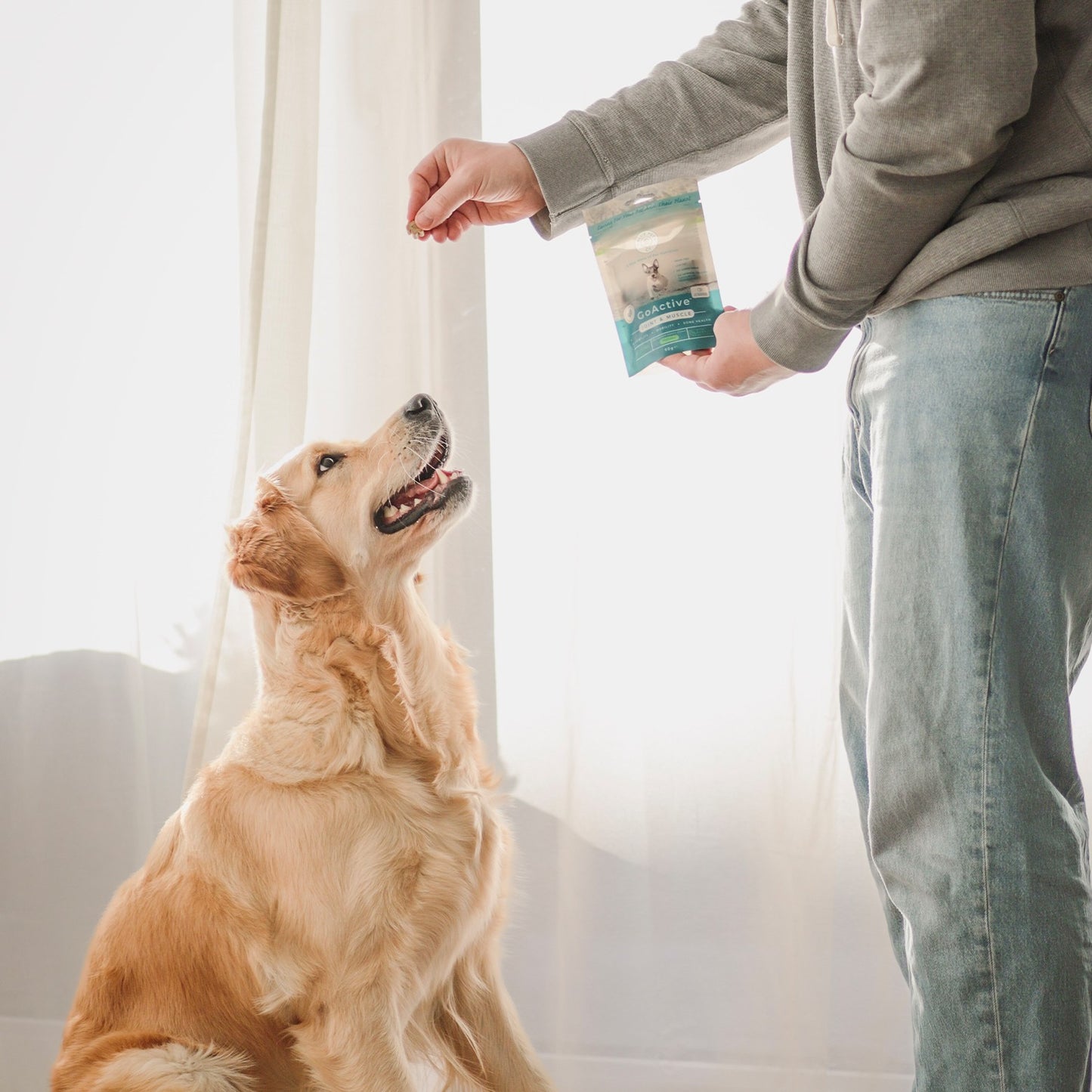 Blue Pet Co GoActive Joint & Muscle Peanut Butter Supplement for Dogs