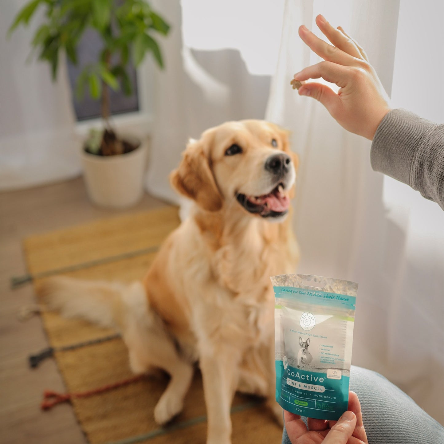 Blue Pet Co GoActive Joint & Muscle Peanut Butter Supplement for Dogs
