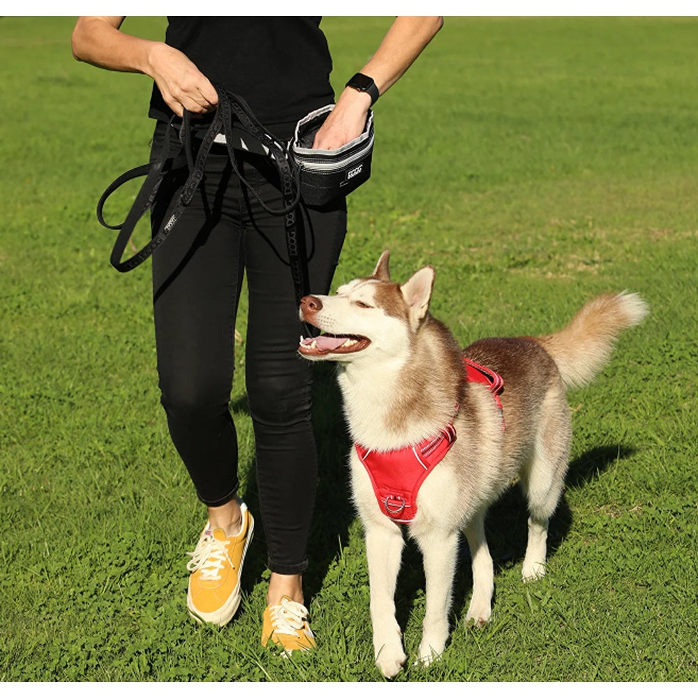 DOOG Dog Treat & Training Pouch Hinge