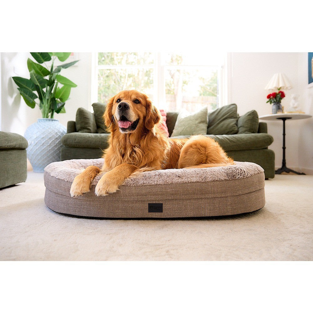 Superior Pet Goods Orthopaedic Memory Rest Dog Bed Puppacino