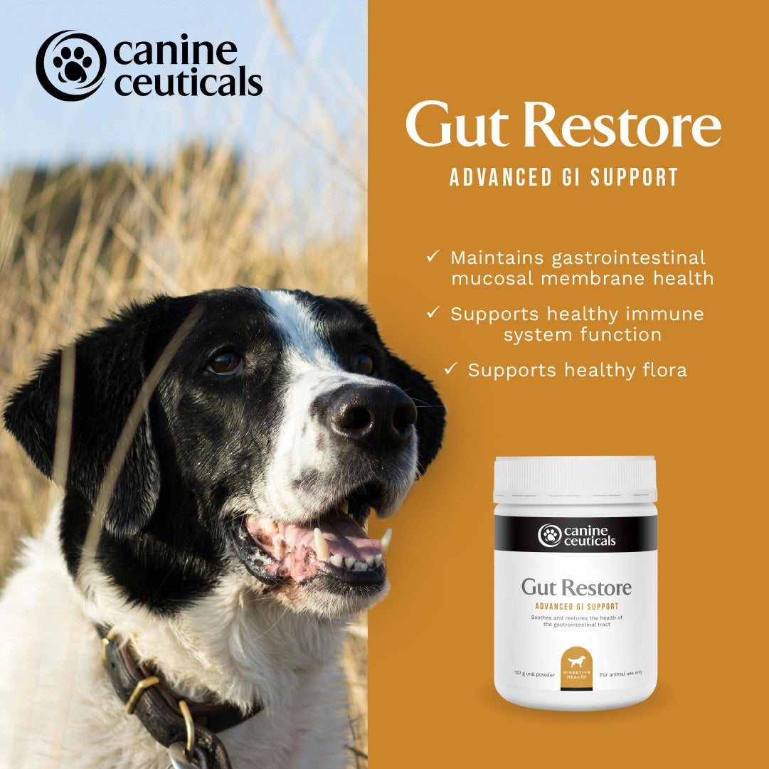 CanineCeuticals Gut Restore Dog Supplement Powder
