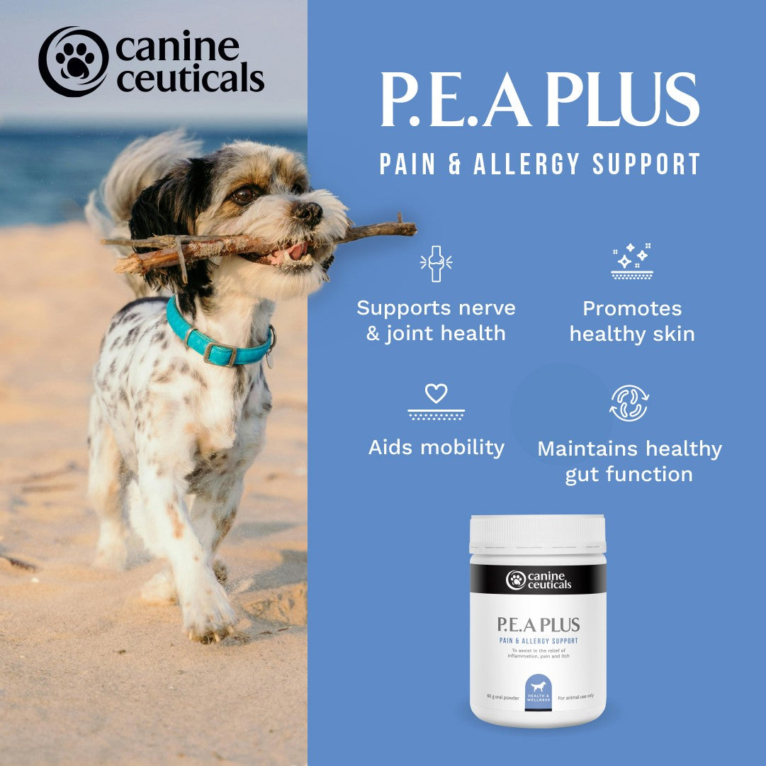 CanineCeuticals P.E.A. Plus Dog Supplement Powder