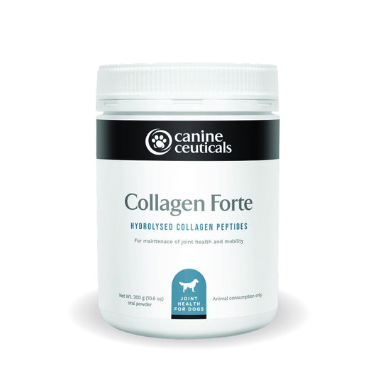 CanineCeuticals Collagen Forte Dog Supplement Powder