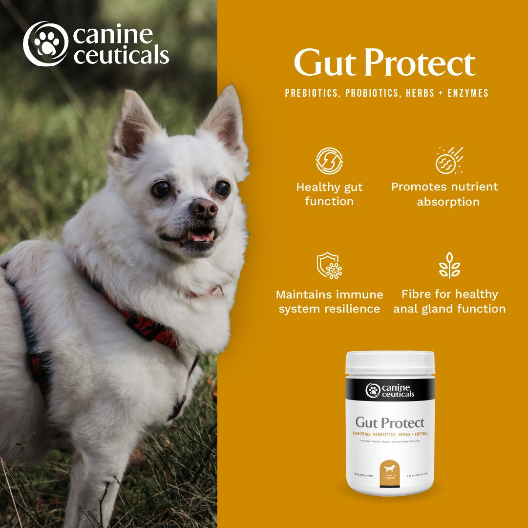 CanineCeuticals Gut Protect Dog Supplement Powder