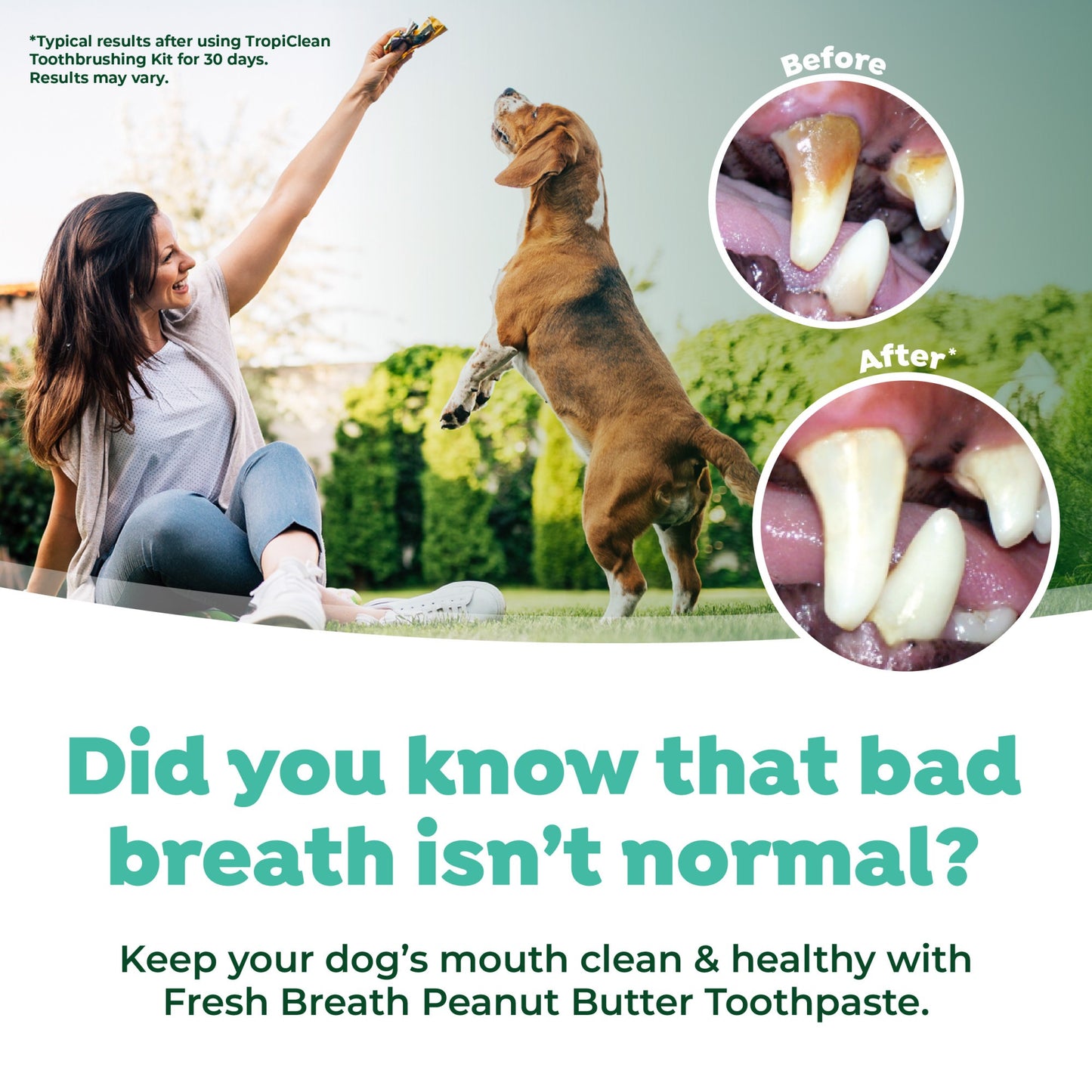 TropiClean Fresh Breath Enticers Peanut Butter & Honey Gel for Dogs