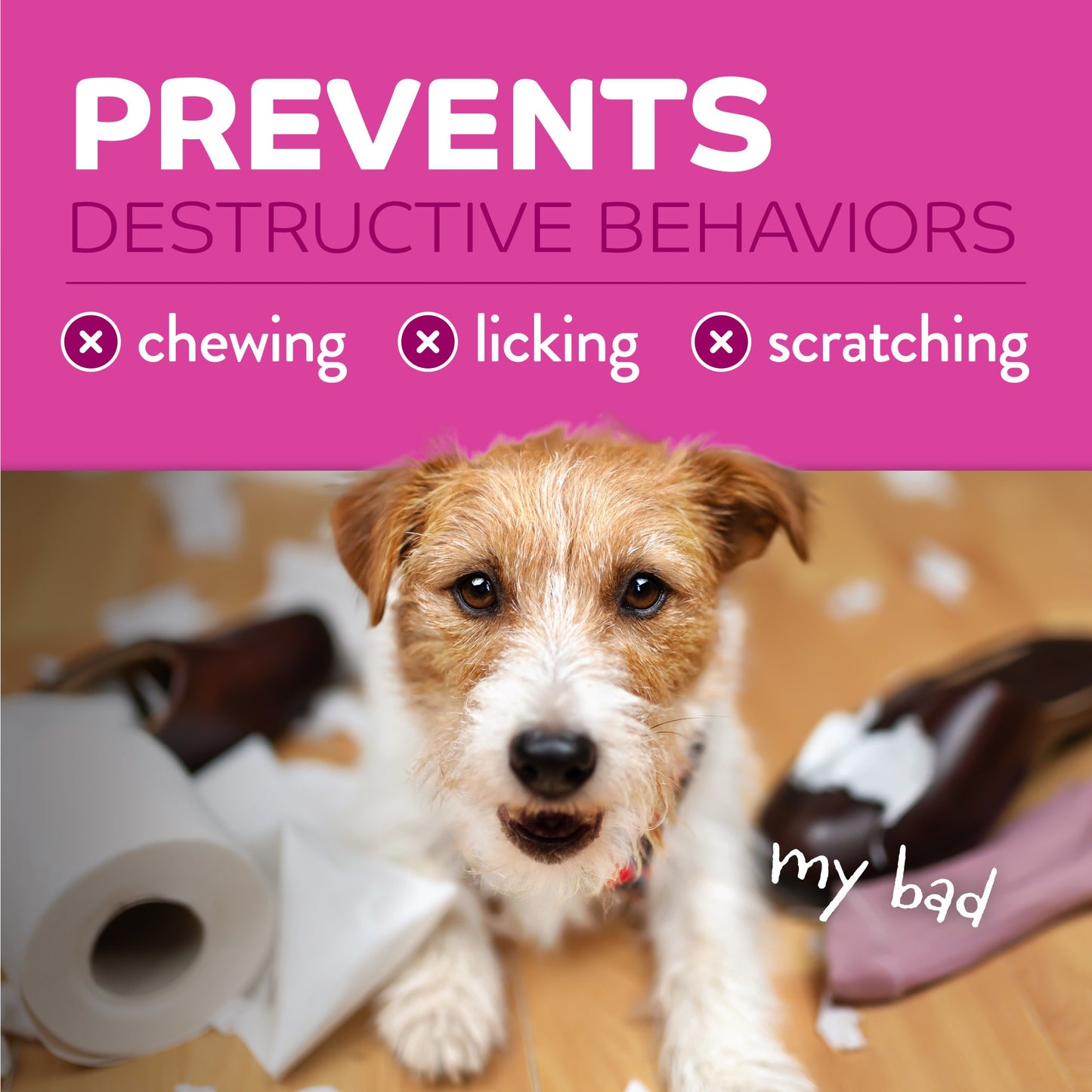 TropiClean Behaviour Chew Stop Spray for Dogs