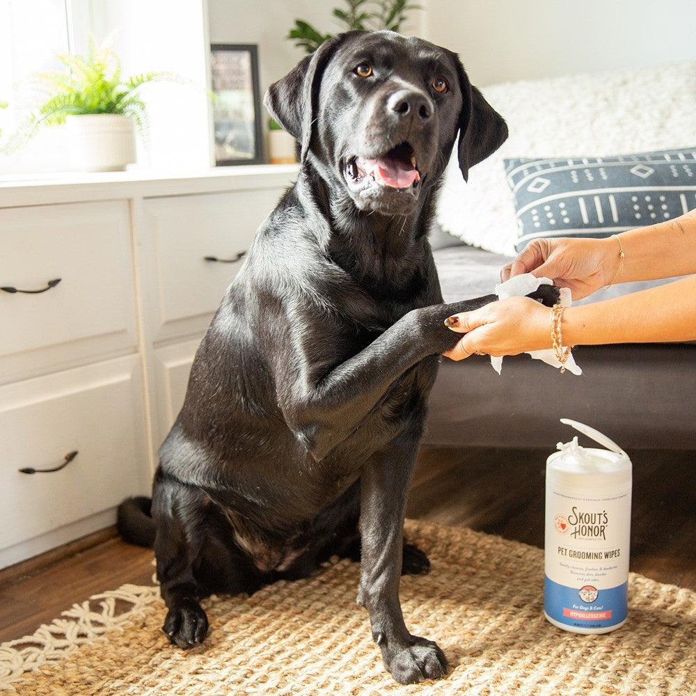 Skouts Honor Pet Grooming Wipes 80ct