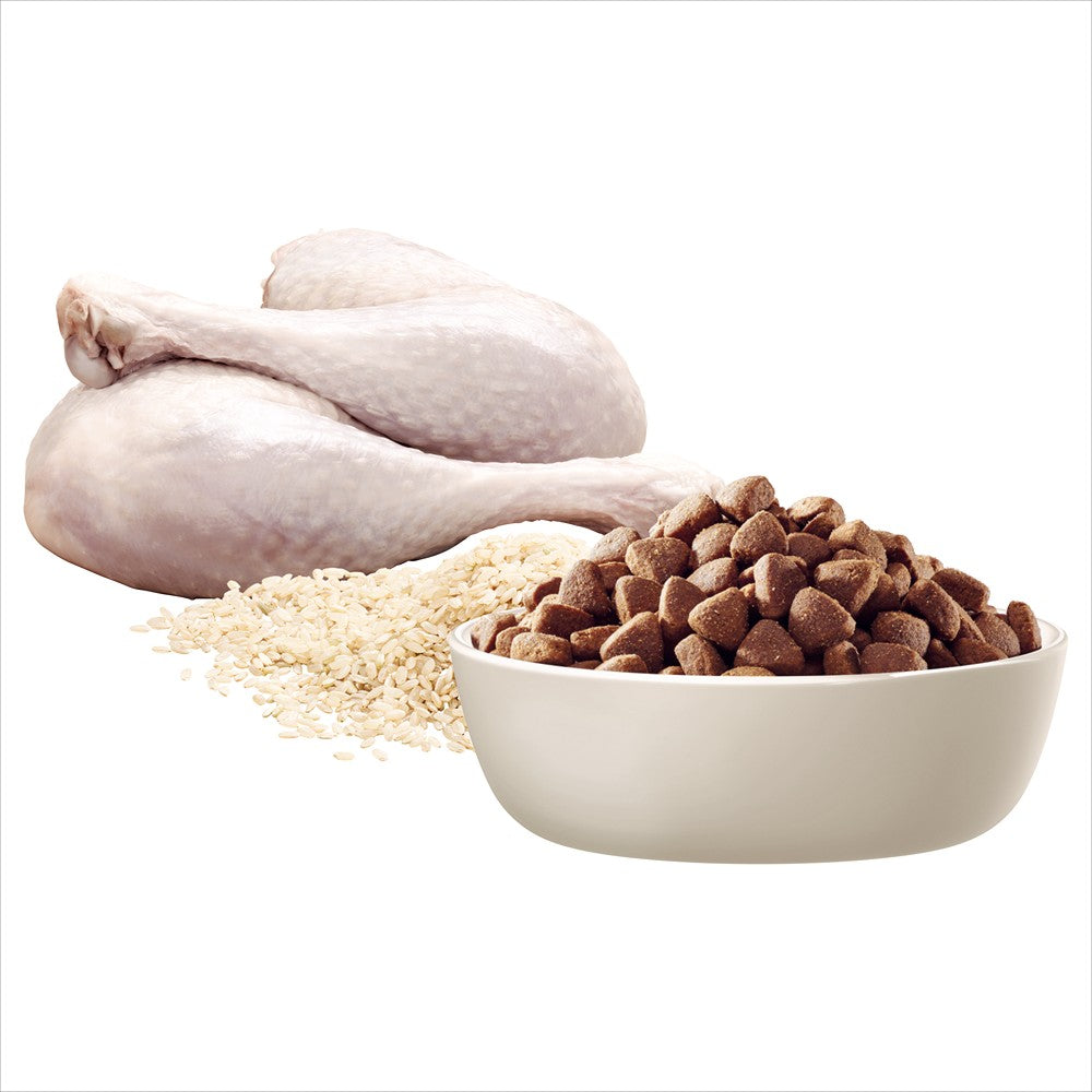 Advance Adult Skin & Digestion Turkey with Rice Dry Dog Food