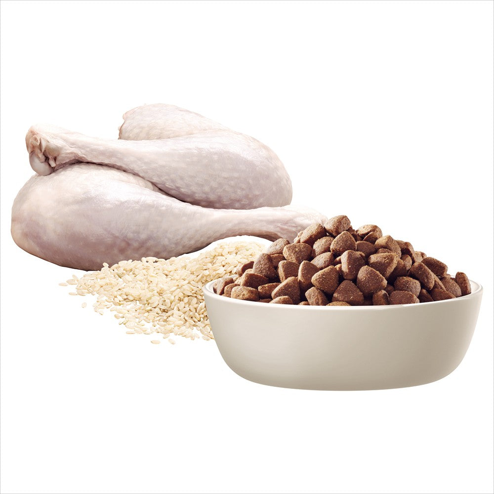 Advance Large Breed Oodles Adult Turkey & Rice Dry Dog Food