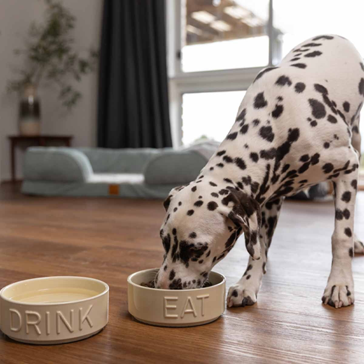 Buddy & Belle Eat-Drink Ceramic Bowl