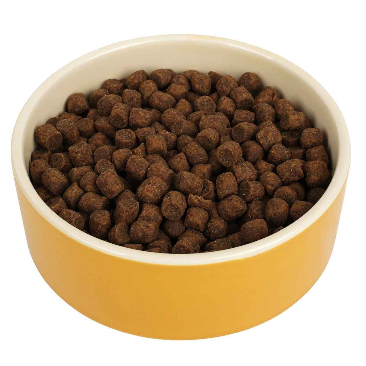 Buddy & Belle Spicy Mustard Ceramic Bowl
