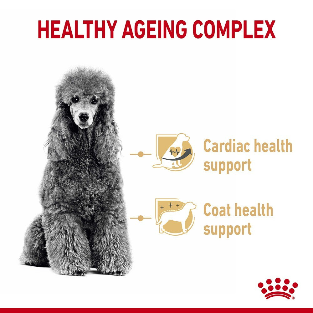 Royal Canin Poodle Breed Adult 8+ Dry Dog Food