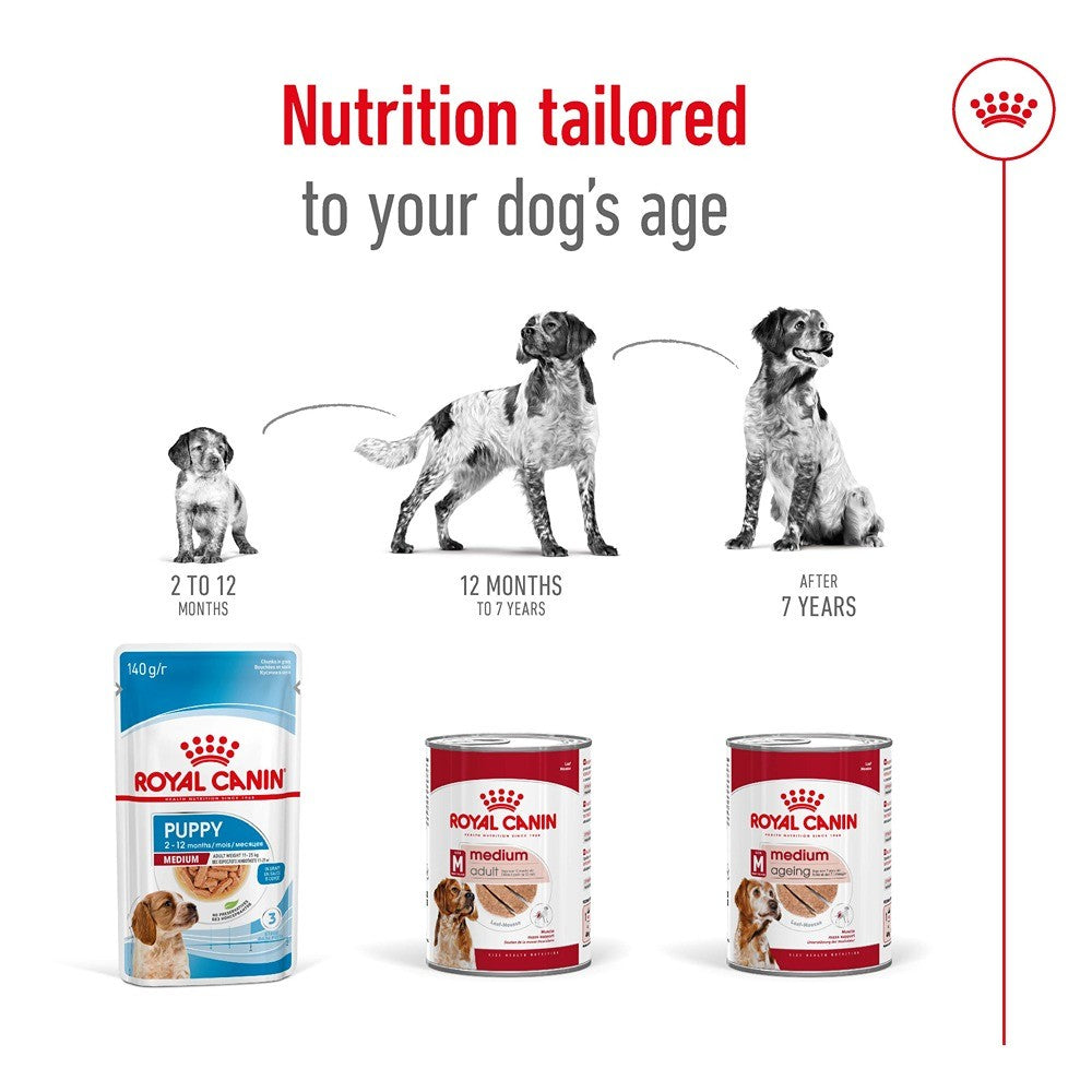 Royal Canin Ageing Medium Loaf Wet Dog Food