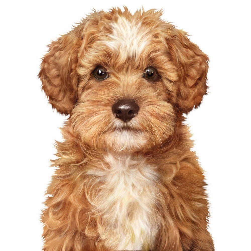 Advance Oodles Puppy Turkey & Rice Wet Dog Food